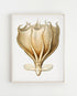 wood framed octopus print wall art